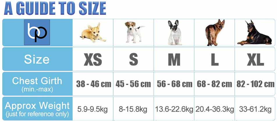 dog info